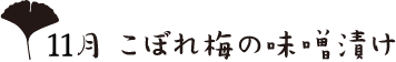 こぼれ梅の味噌漬け